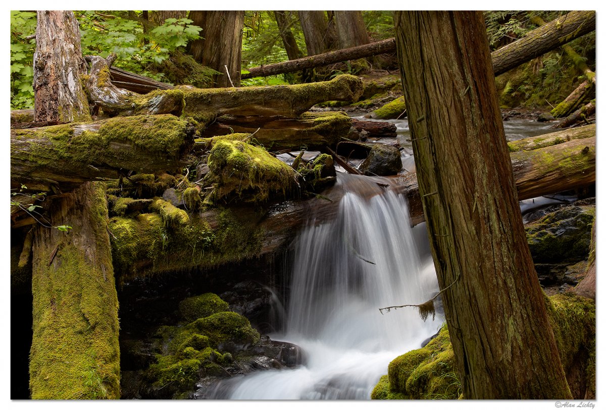 AbovePantherFalls3.jpg