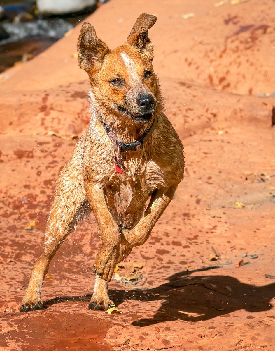 Addie-9652-Edit.jpg