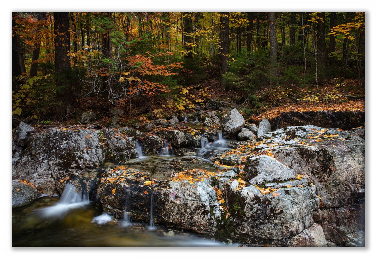 ADK AMR 2018 Fall-68 Gill Brook Glowing Rocks Display.jpg