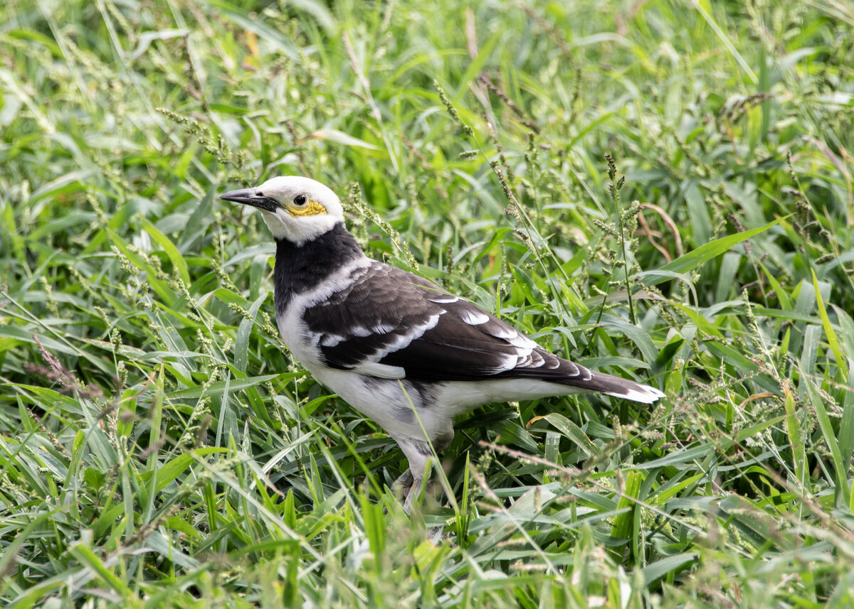 ADSC_5390.jpg