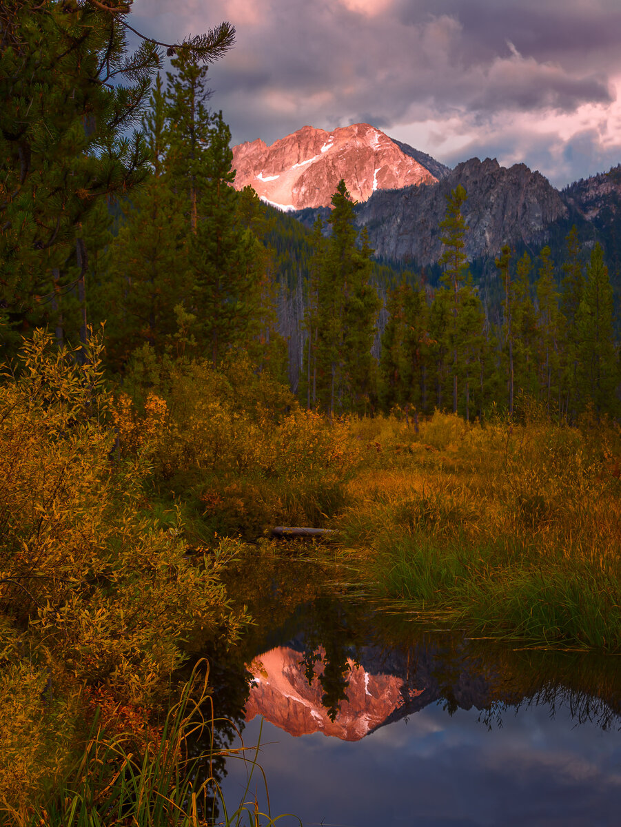 Alpenglow and Willow - Dale Berlin.jpg