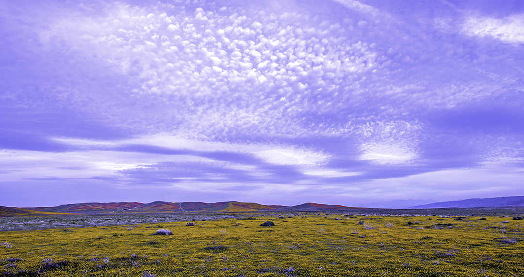 Altocumulus and stratus clouds, Antelope Valley, CA  II.jpg