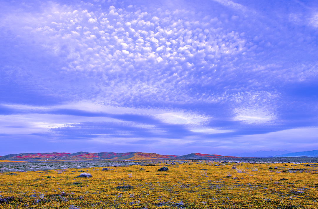 Altocumulus and stratus clouds, Antelope Valley, CA  II.jpg
