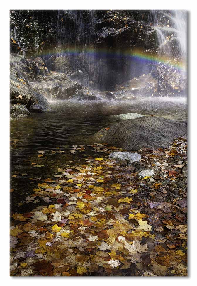 AMR Fall 12-217 Beaver Meadow Falls rainbow leaves FM Post.jpg