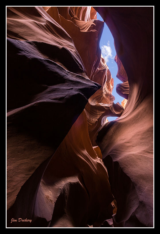 Antelope-Blend.jpg