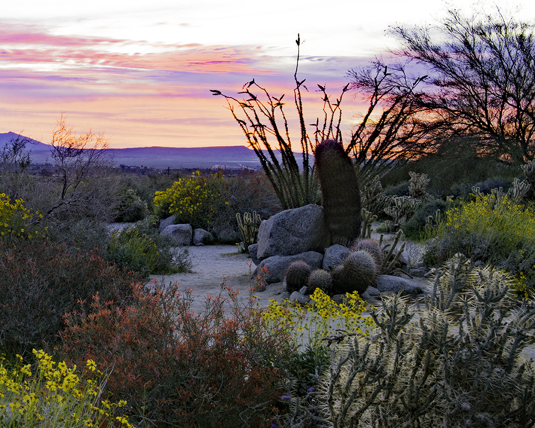 Anza Borrego State Preserve.jpg