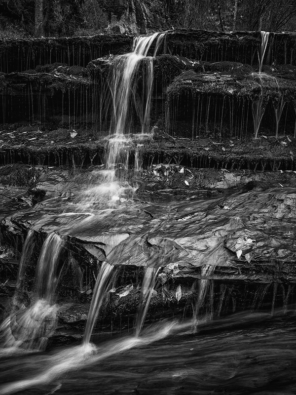 Archangel-2018B&W-copy.jpg