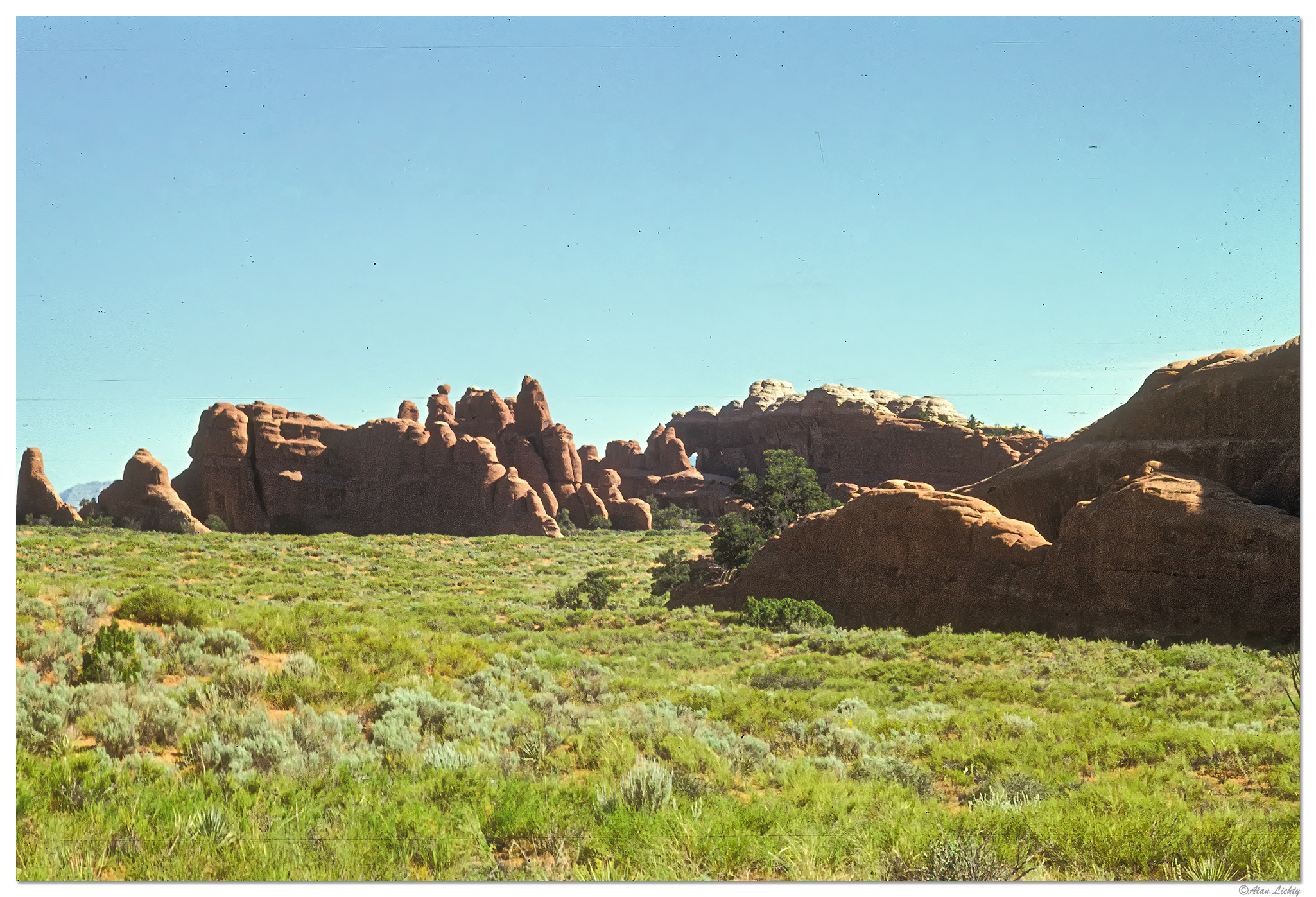 Arches greenery-Edit.jpg
