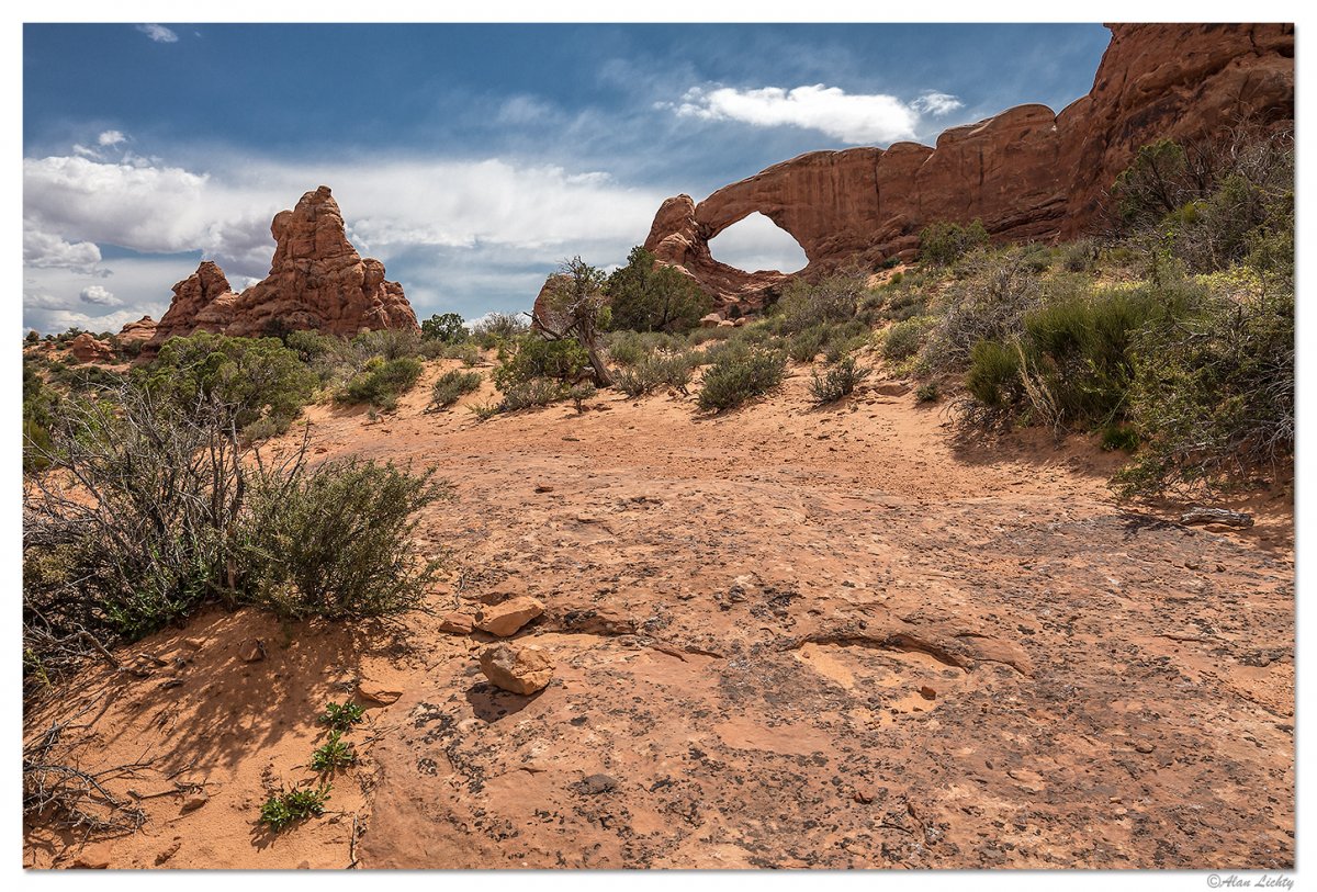 Arches1.jpg