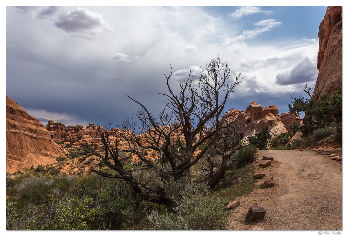 Arches2.jpg