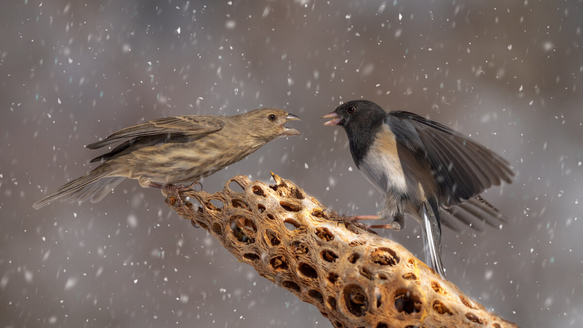 Argument-3471-Edit-Edit.jpg
