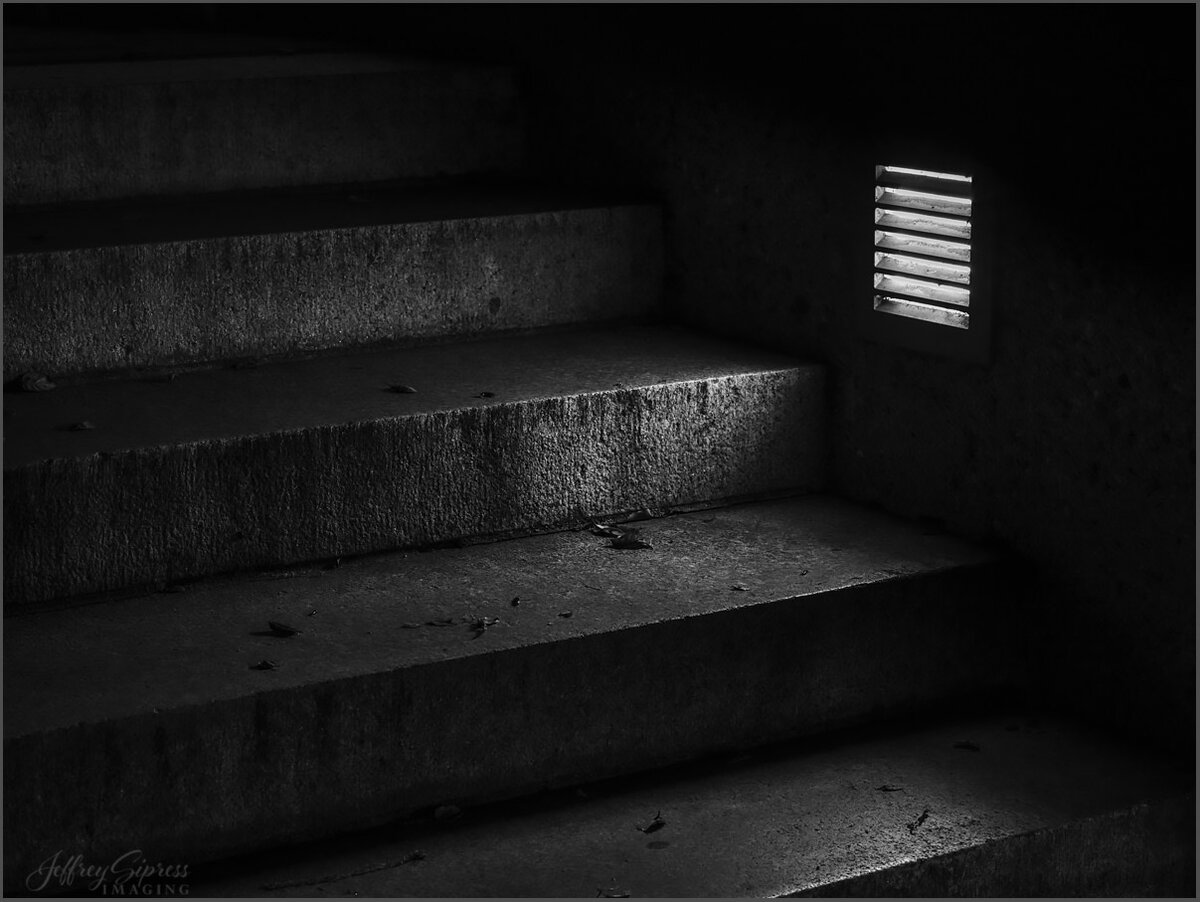 artmuseumsteps1.jpg