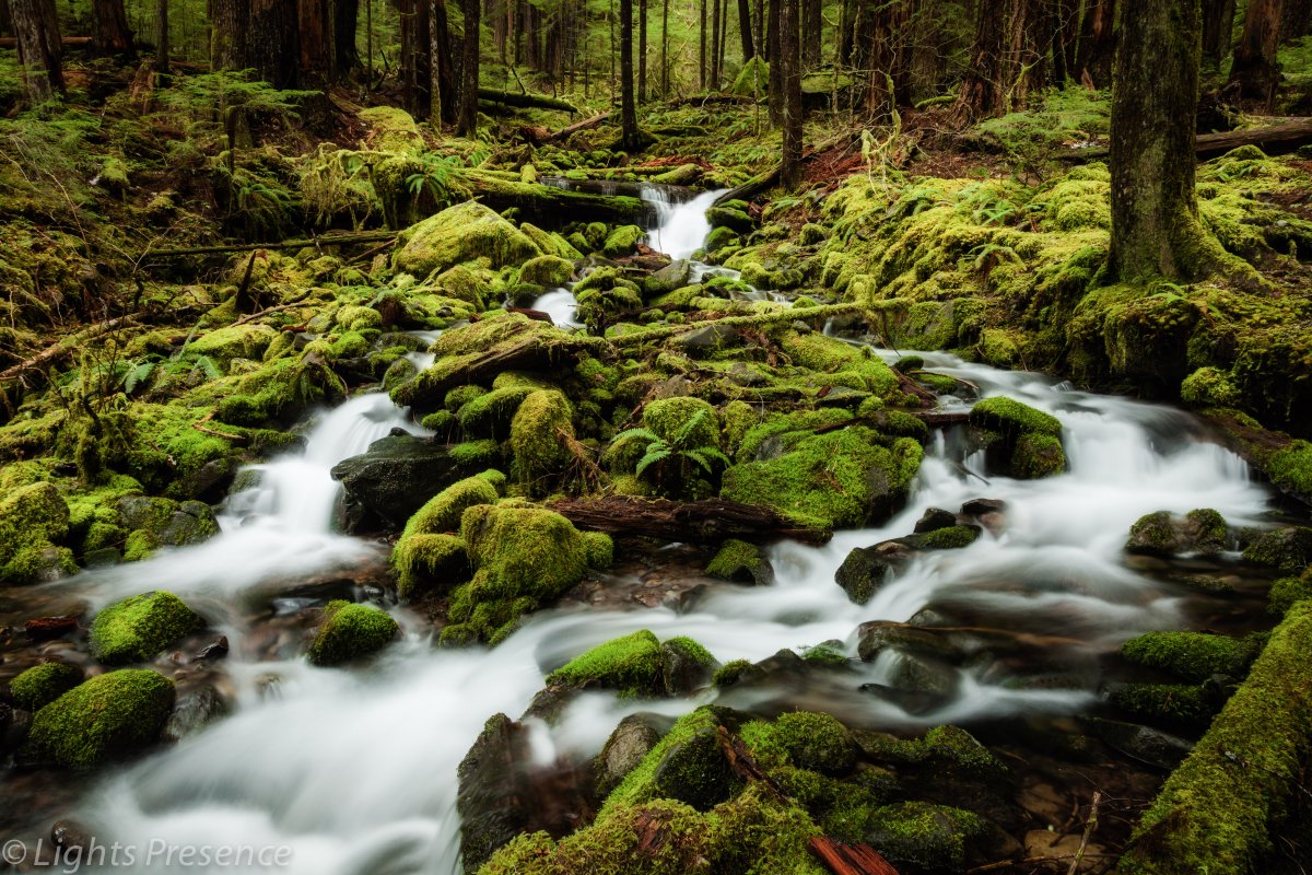 ASolDucCreek_7762.jpg