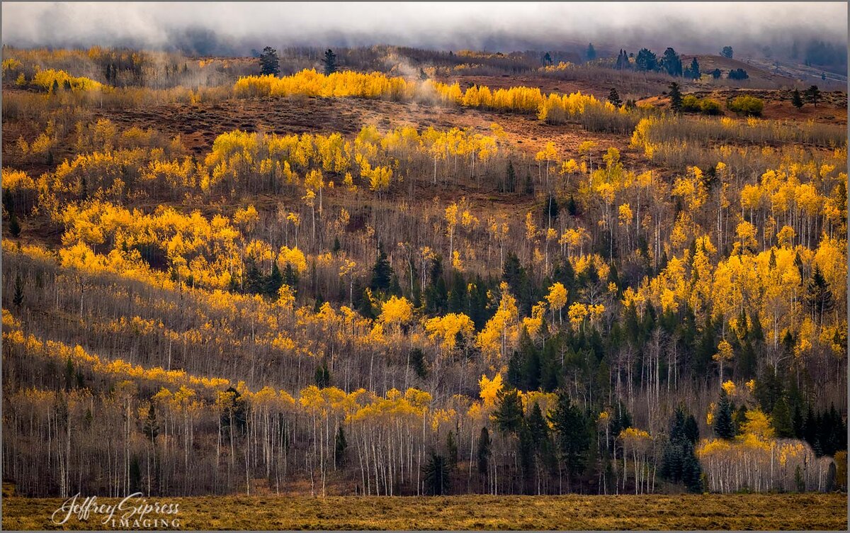 aspenhillside1.jpg
