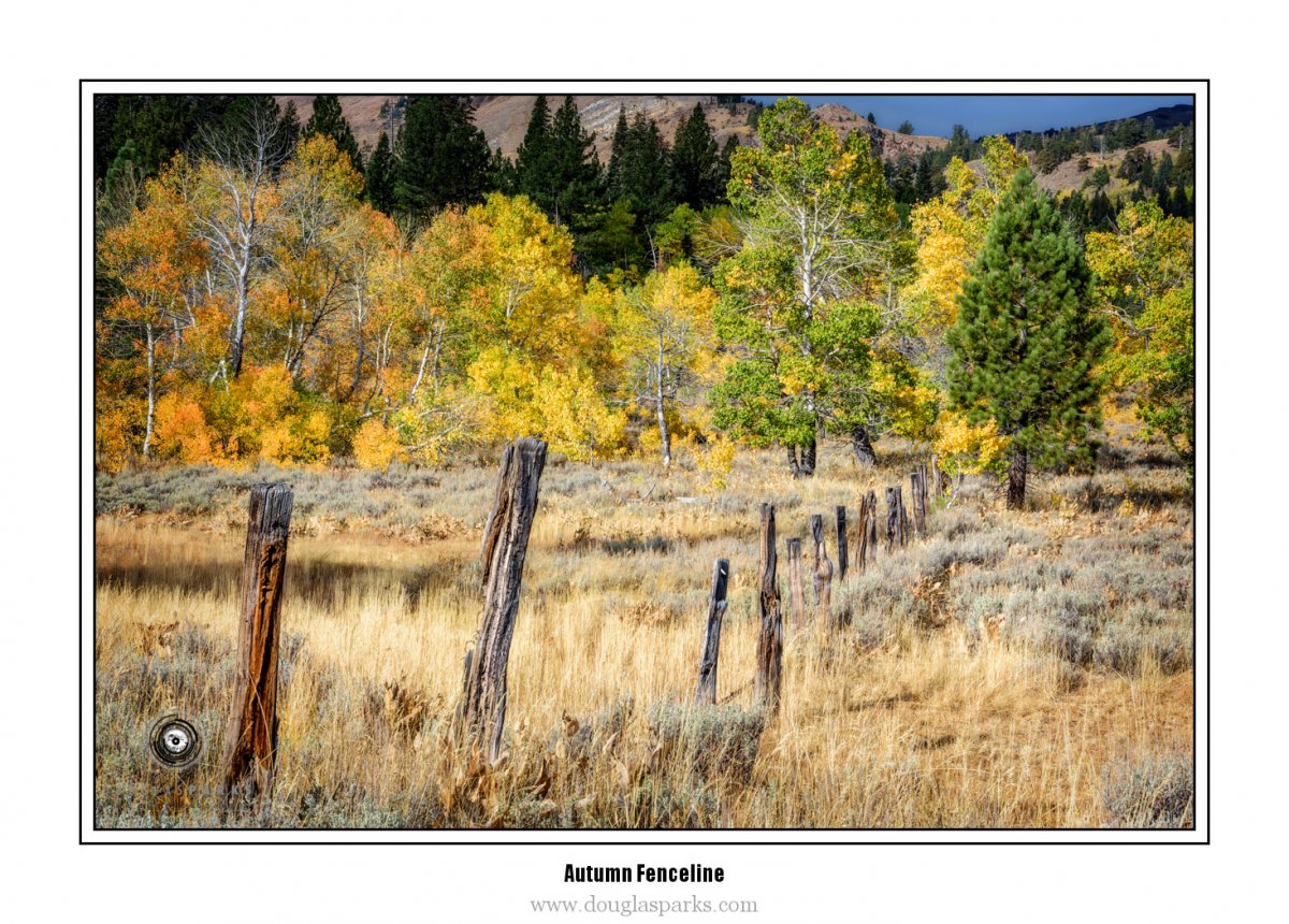 Autumn Fenceline.jpg