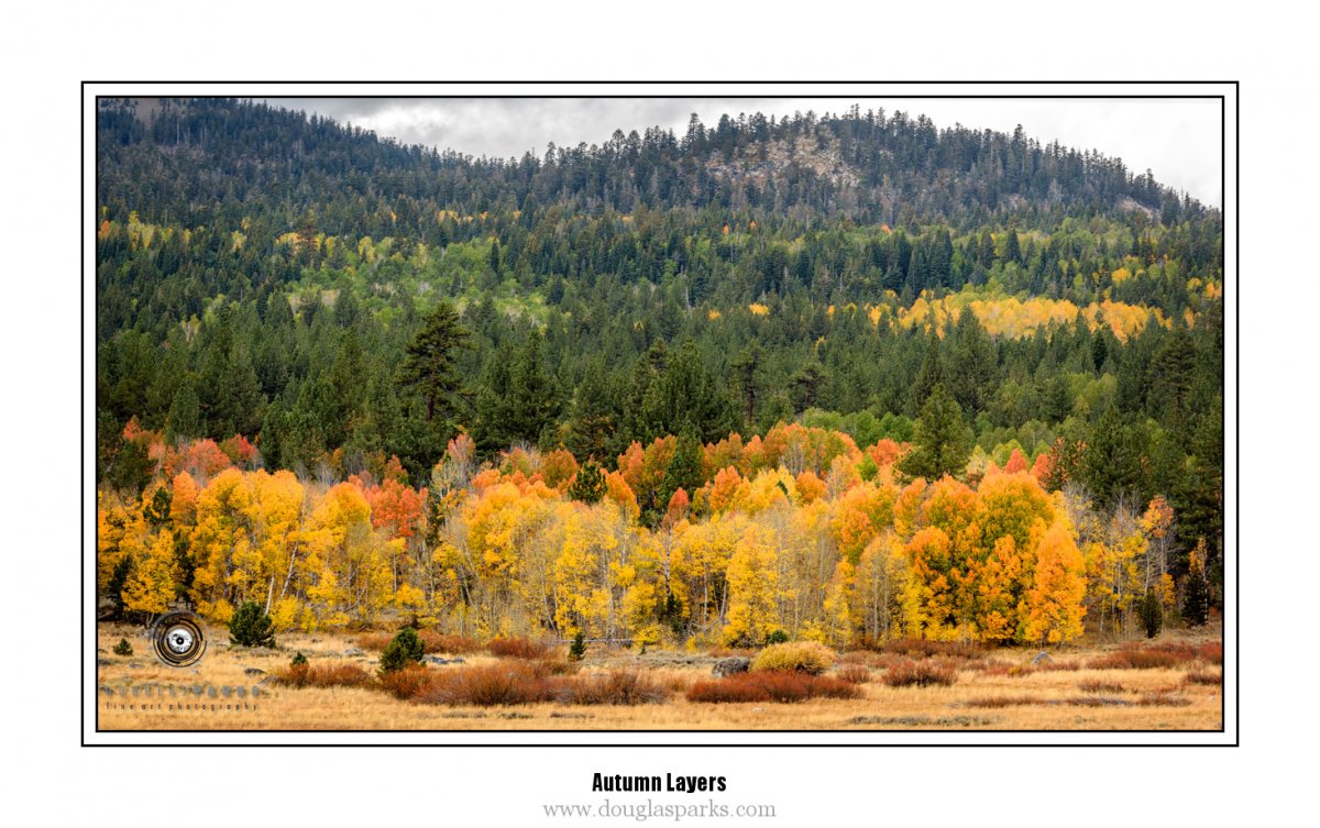 Autumn Layers.jpg