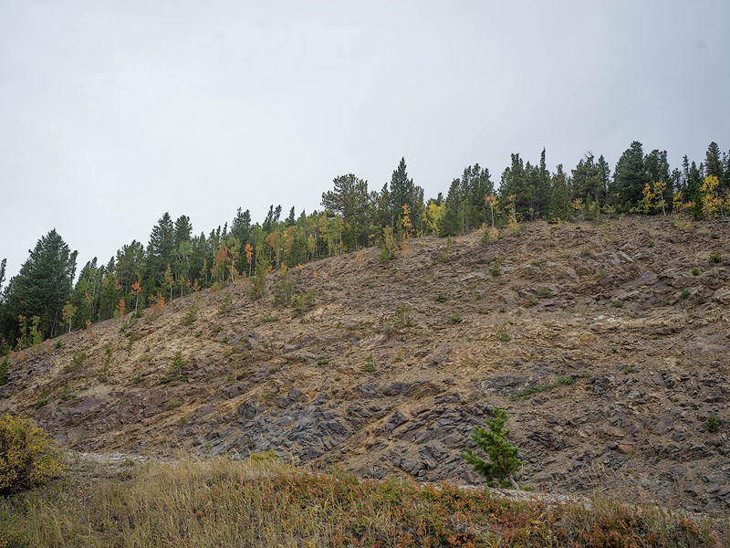 B0001458-copy.jpg