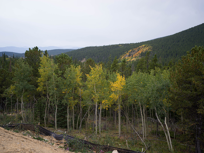 B0001459-copy.jpg