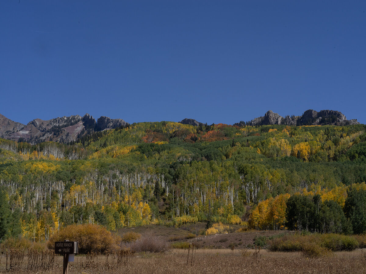 B0004200.jpg