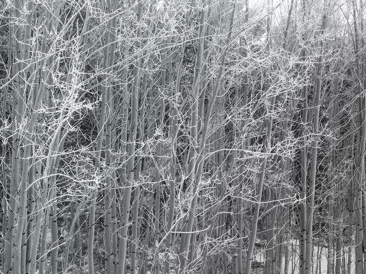 B0006100.jpg
