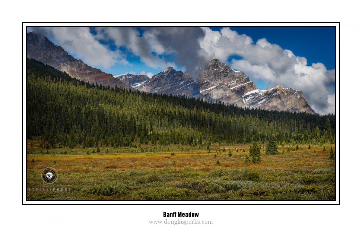 Banff Meadow.jpg
