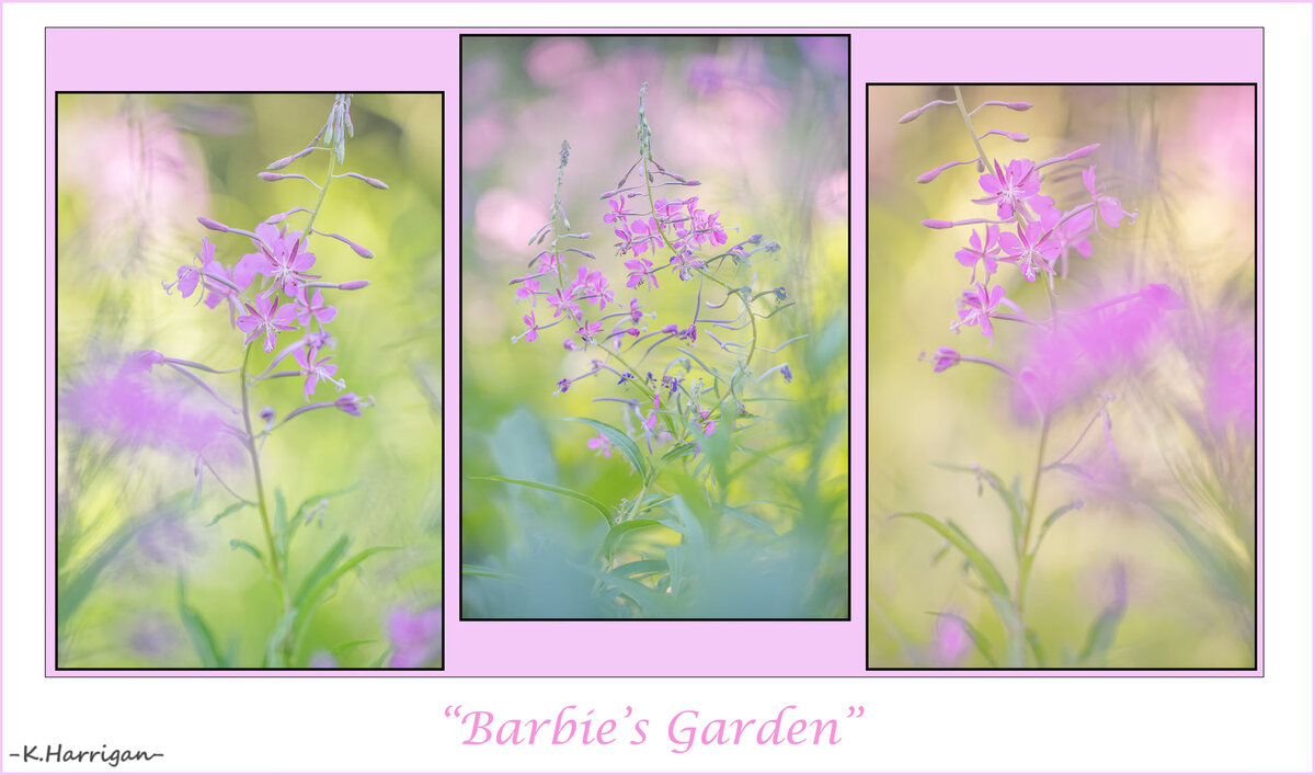 Barbie's Garden.jpg