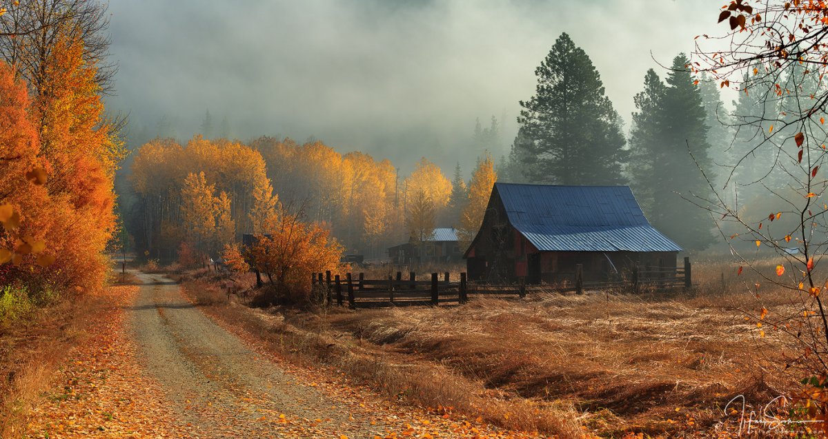 Barn n Fog.jpg