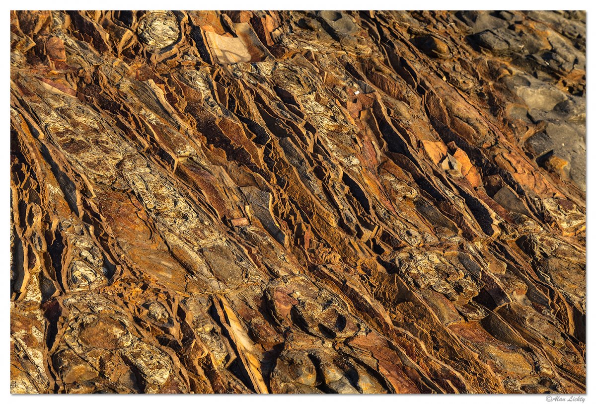 BBeachMudstone.jpg