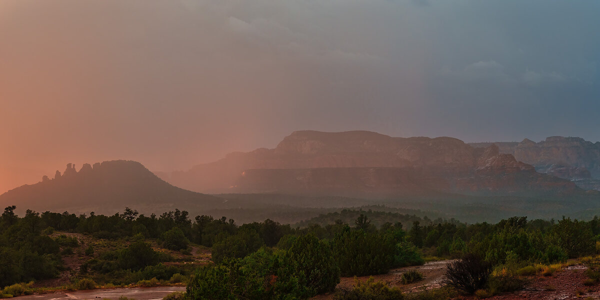 Bear cockscomb sunset.jpg