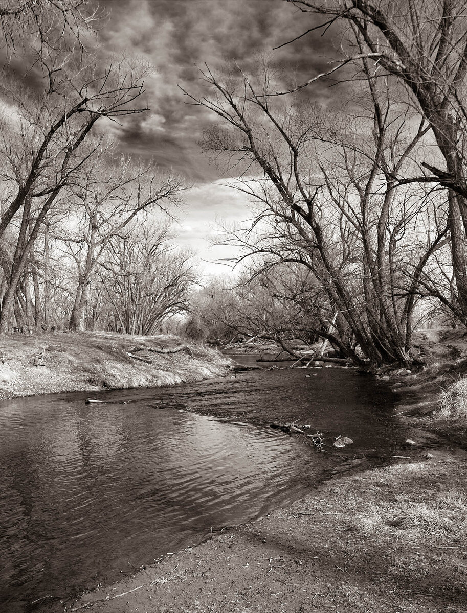 Bear Creek4.jpg