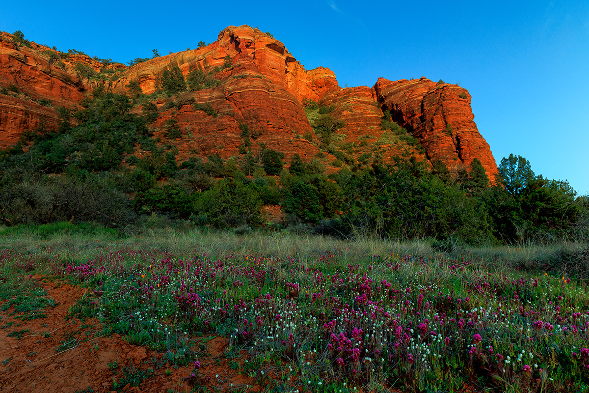 Bear Mountain.jpg