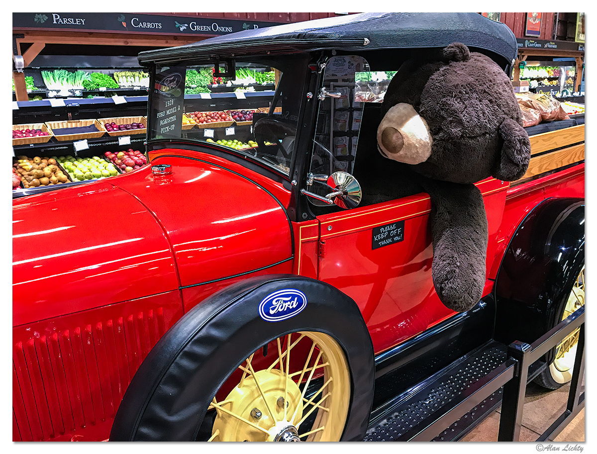BearyBerries.jpg