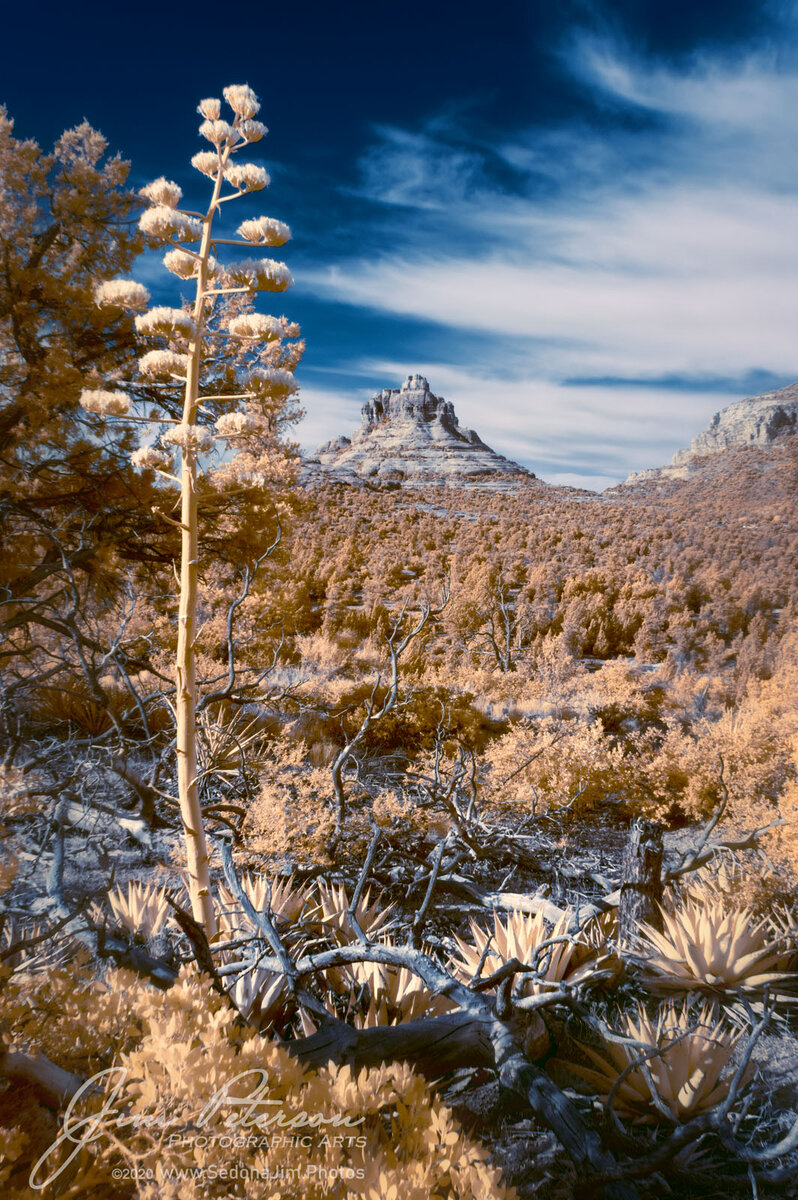 Bell-Rock-from-Bail-Trail-near-Sedona-Infrared.jpg