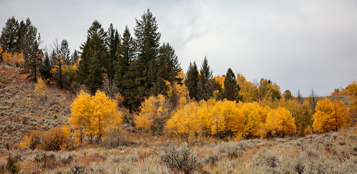 Ben_180923-8230-5DS R_a crop.jpg