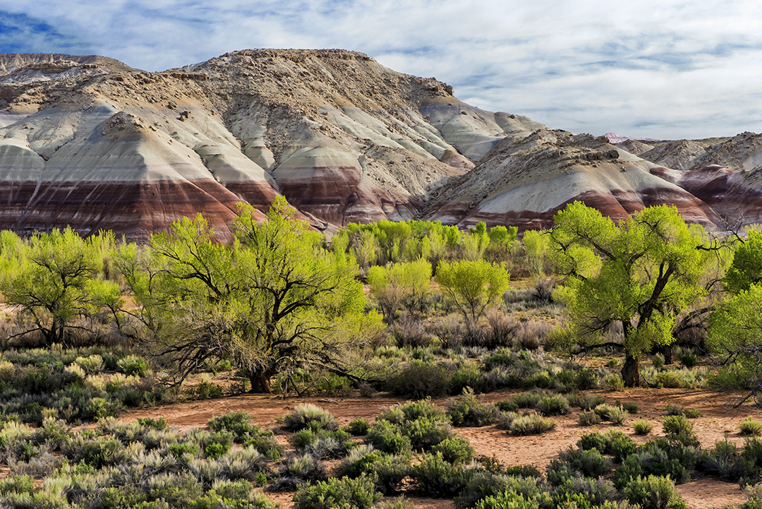 Bentonite Hills.jpg