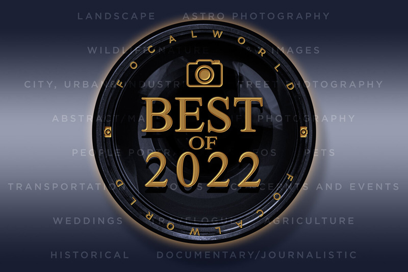 BEST OF 2022_Updated_dw.jpg