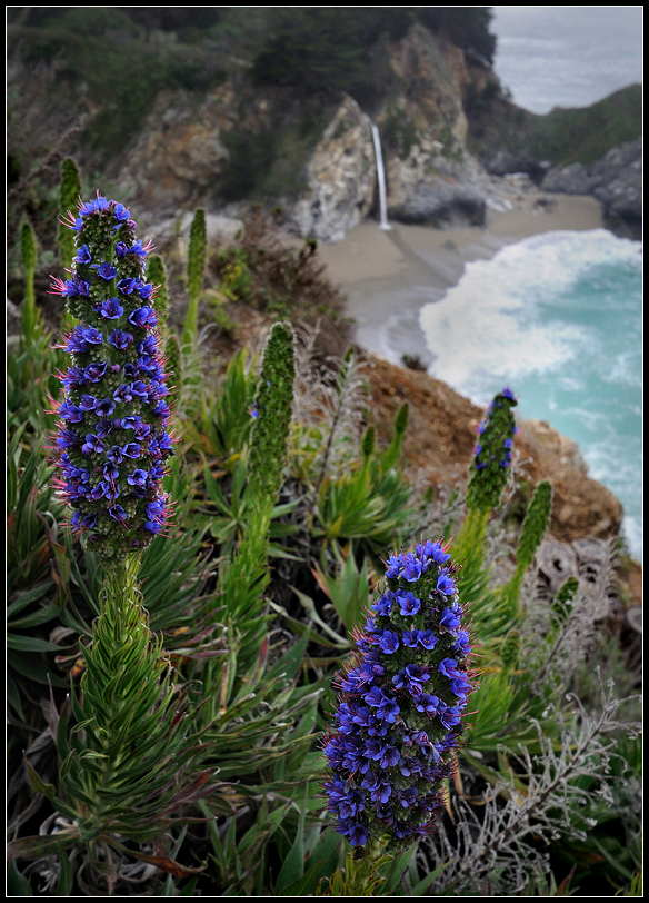 Big Sur - 6.jpg