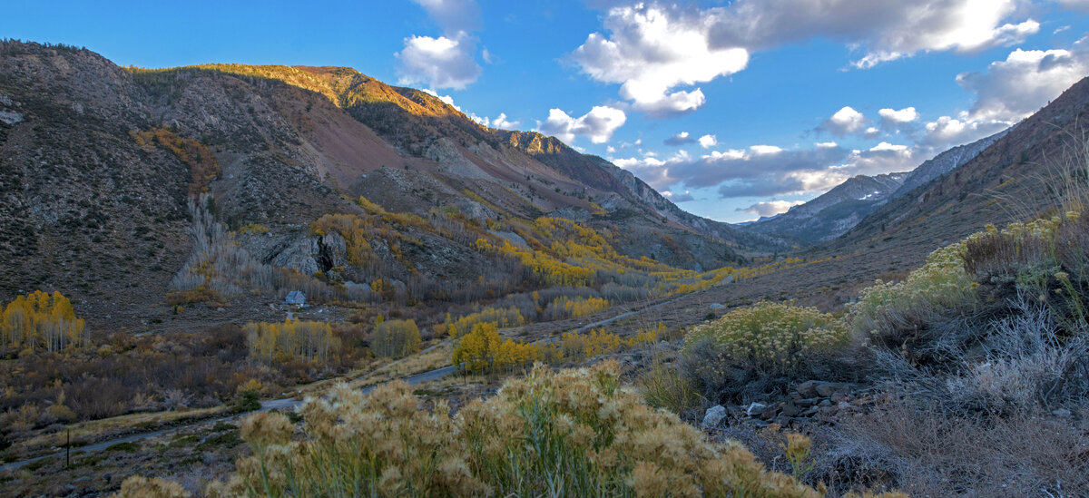 Bishop Creek.jpg