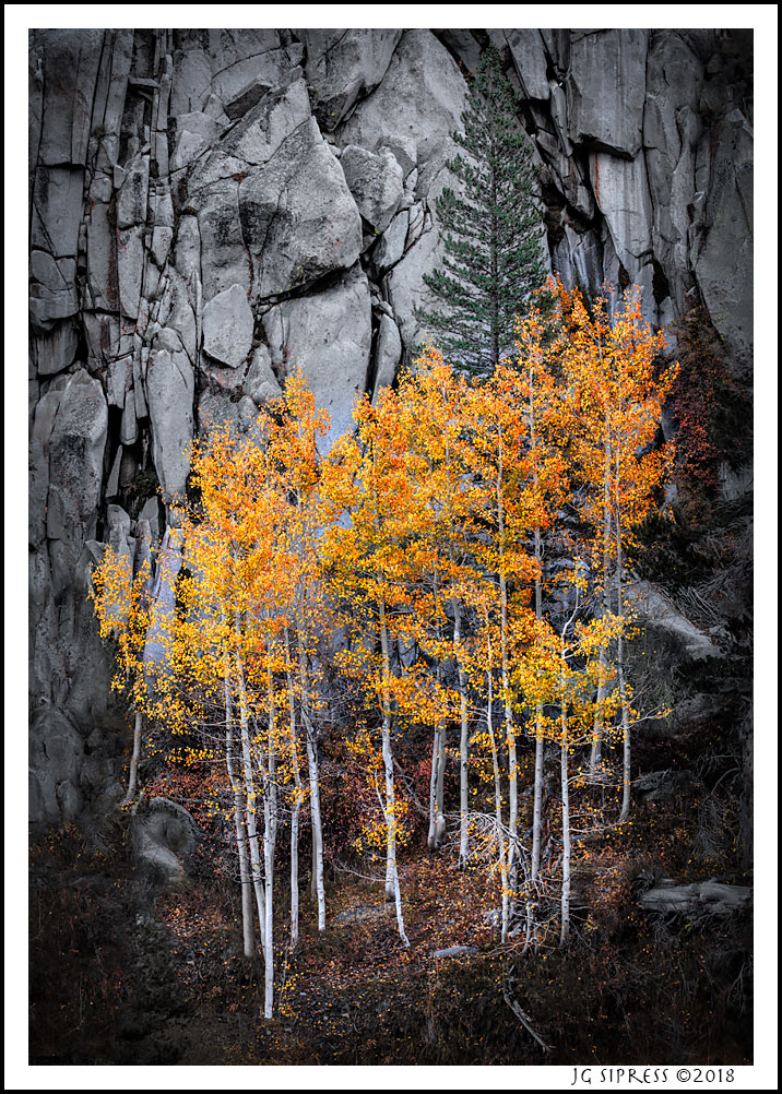 bishopcanyon2-2.jpg