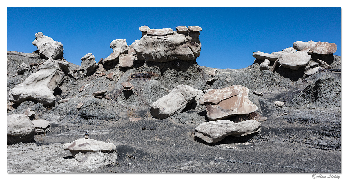Bisti1.jpg