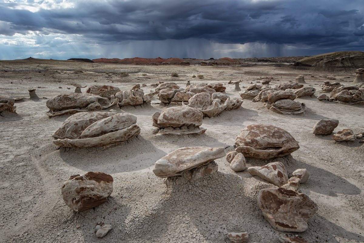 Archive Dive into the Bisti | Focal World