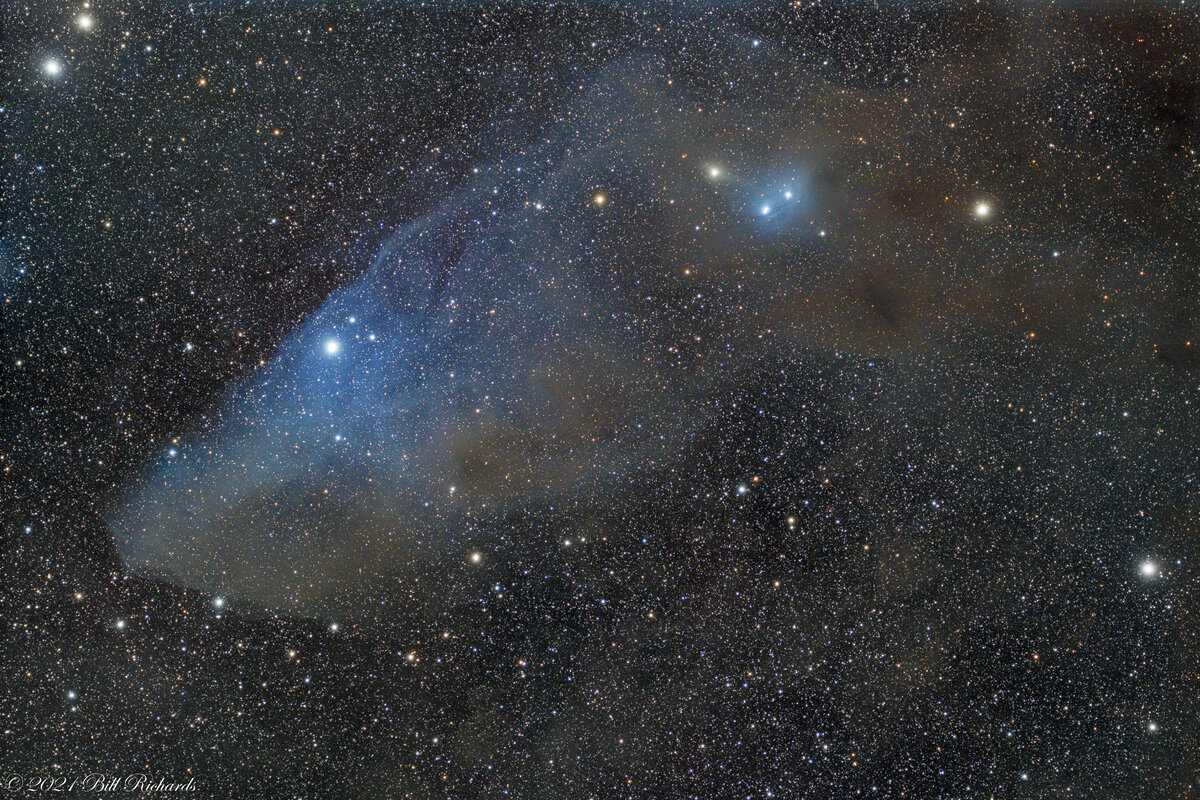 Blue Horsehead Nebula.jpg