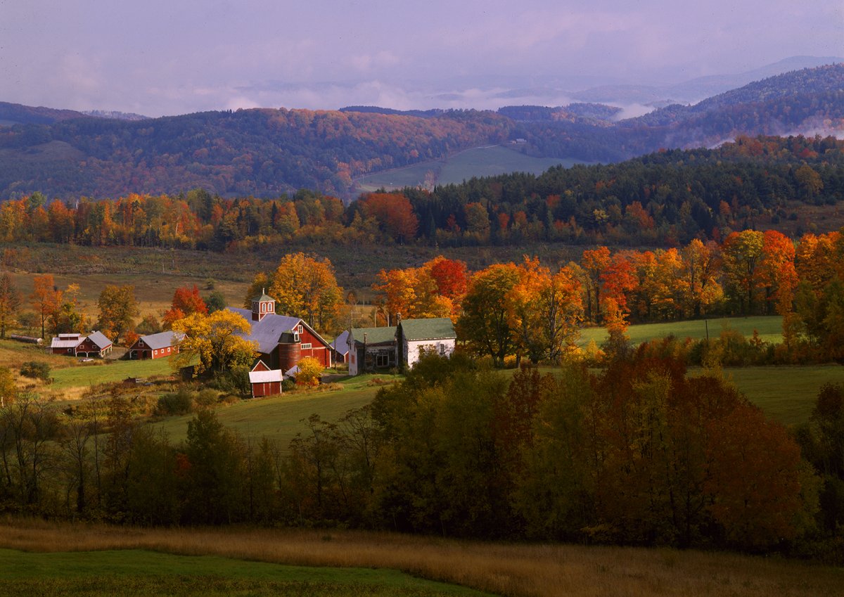 Bogey Mtn Farm.JPG