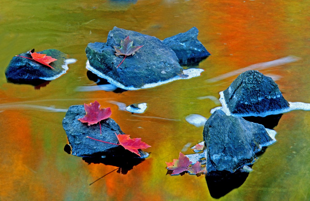 Bond River flowage.jpg