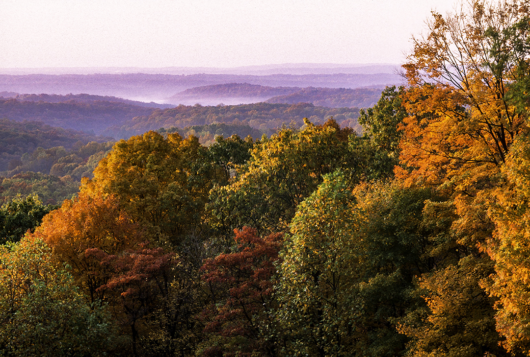 Brown County State Park, Indiana.jpg