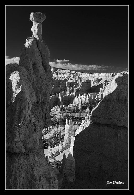 Bryce-D3_0285bw.jpg