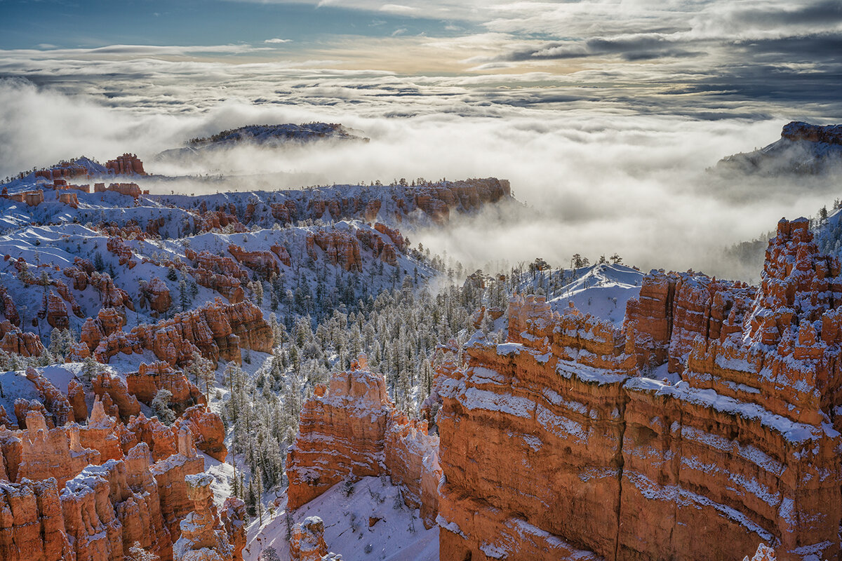 Bryce1-cropped.jpg