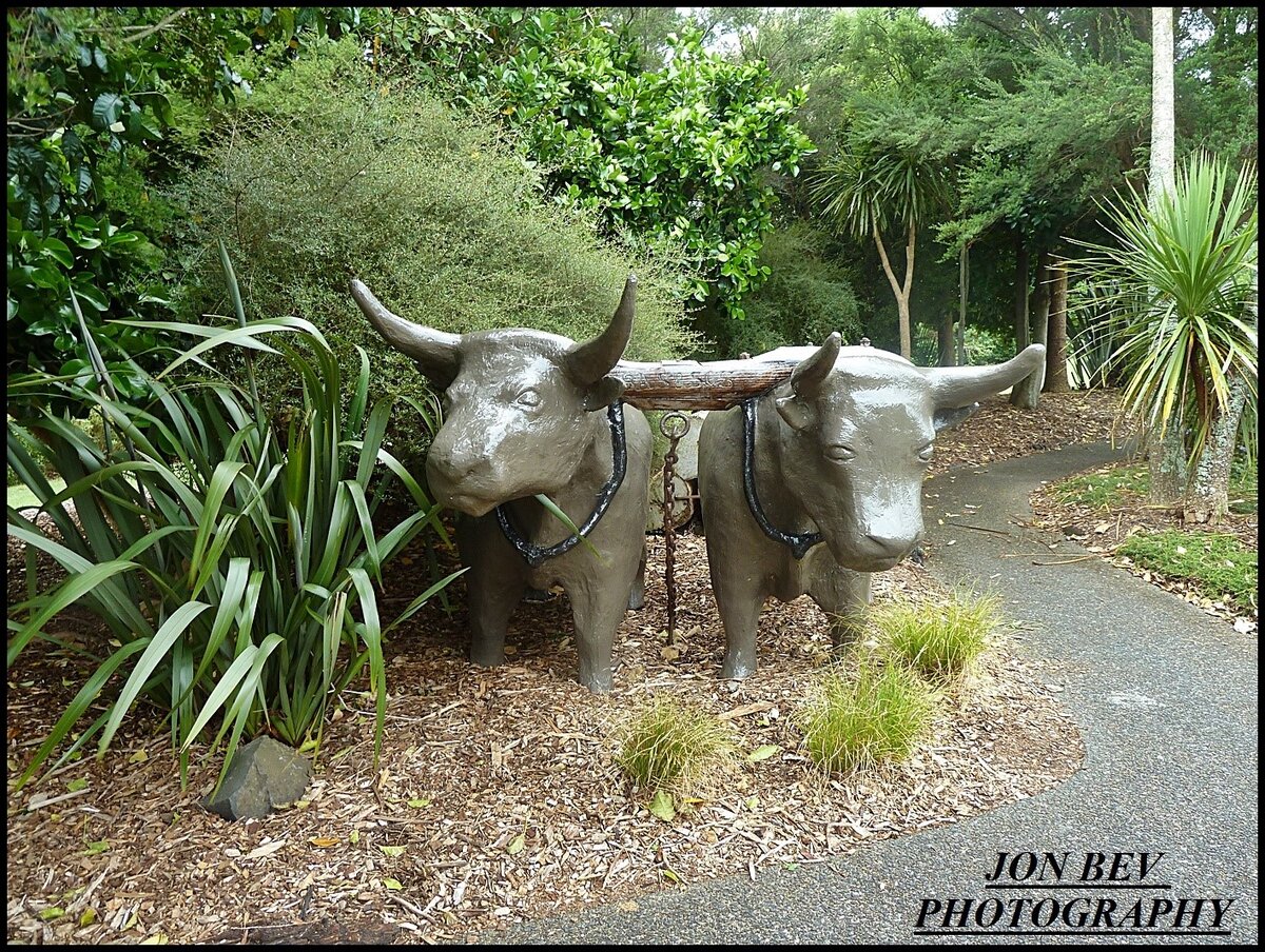 Bullocks_copy-2 (2).JPG
