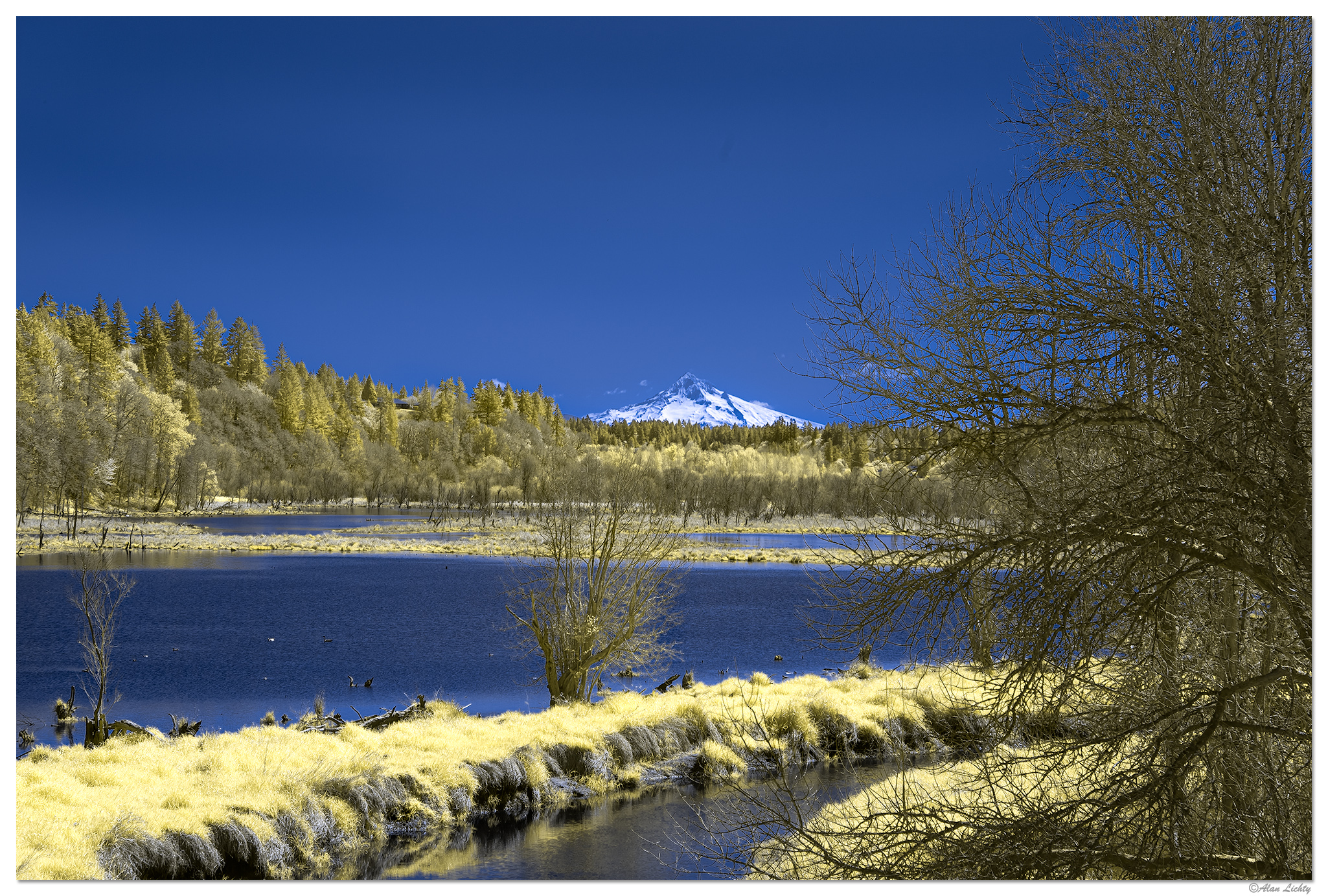 C5D2_IR590_SalmonCreek041521.jpg