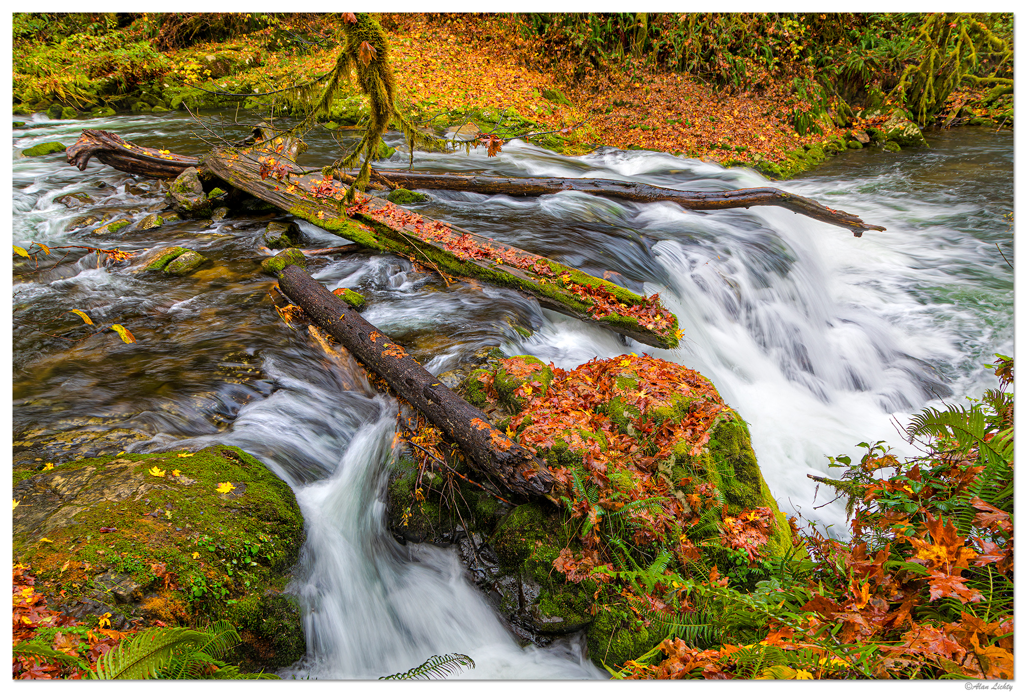 C5D4_SC-FirstFalls110823.jpg